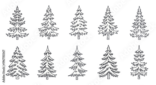 Set of Hand-Drawn Evergreen Trees, Pine, Fir, Spruce - Sketch Style