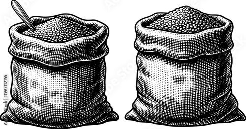 Vintage Engraving Style Sacks Filled With Grains And Spoon Isolated White seed food