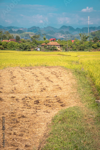 SonLa, North Vietnam, Asia