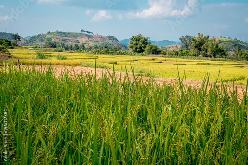 SonLa, North Vietnam, Asia