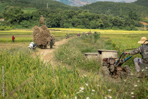 SonLa, North Vietnam, Asia