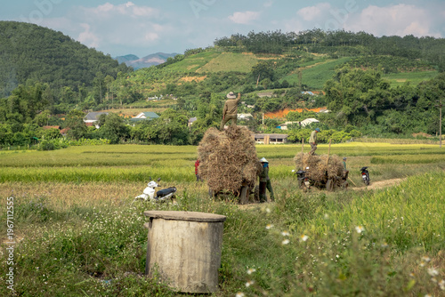 SonLa, North Vietnam, Asia