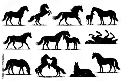 Silhouette collection of various horse poses in different actions.