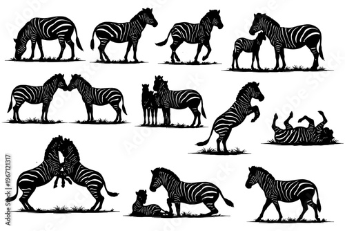 Zebra silhouettes in various poses and activities.