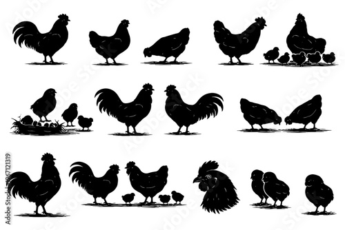 Silhouette collection of farm chickens and roosters with chicks.