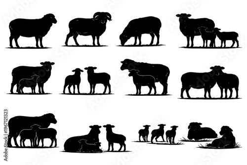 Silhouette sheep family in various poses on white background.