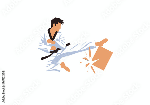 Stylized martial artist breaking a wooden board midair with a side kick