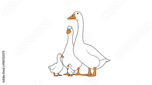 Family of four white geese including adults and goslings stand together in a group on a clear white background.