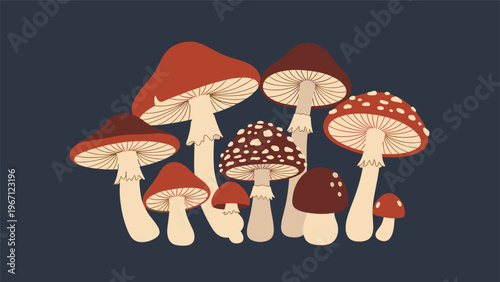Diverse collection of forest mushrooms in various sizes and colors are clustered together against a dark blue background.