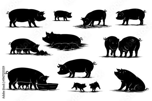 Silhouette illustrations of pigs in various poses and activities.