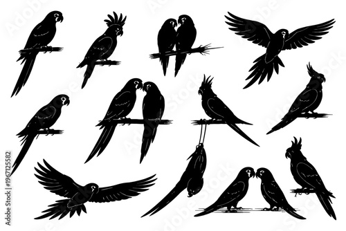Silhouette of parrots in various poses: flying, perching, interacting.