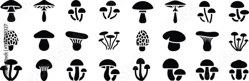 Mushroom and fungi silhouette icons set. Forest, nature, organic food, and autumn vector illustration