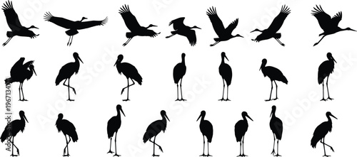 stork bird silhouettes collection, flying and standing wading birds illustration, wildlife nature design, black silhouette set, long leg bird vector