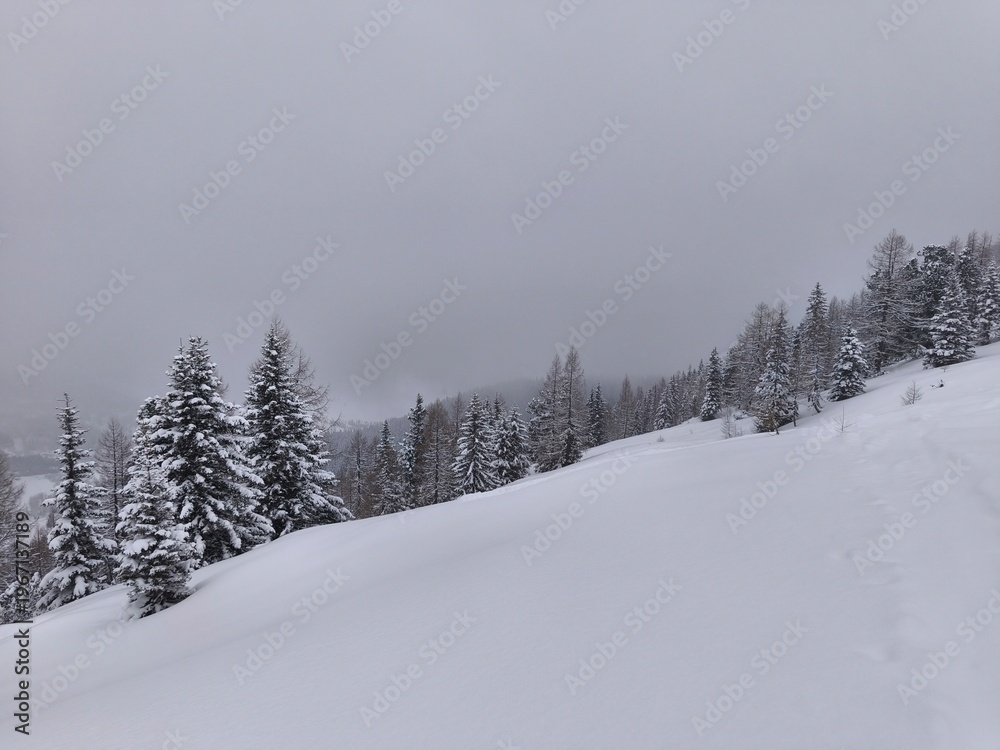 Fototapeta premium winter snowy nature in the alps