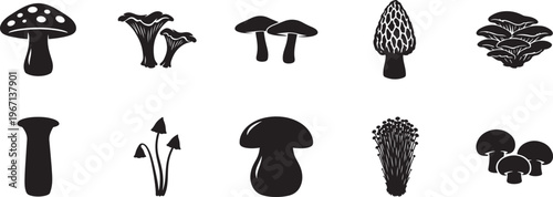 Mushrooms icons set vector illustration nature fungi symbols isolated clean minimal design.