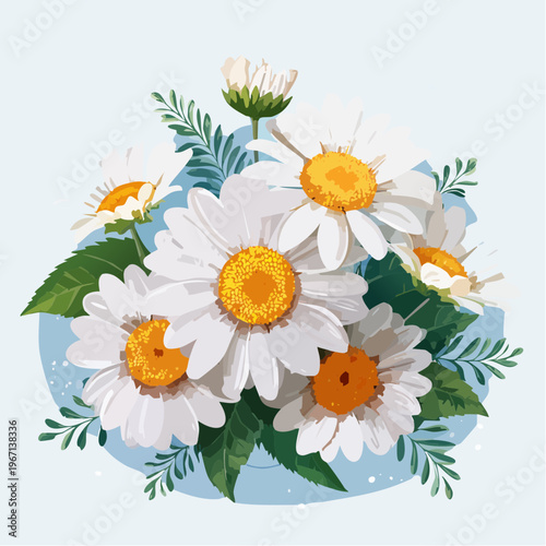 Weiße Kamillenblüten mit gelber Mitte im Frühlingsgarten