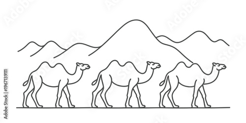 A simple black and white line drawing depicting three camels walking through a desert landscape Vector, illustration