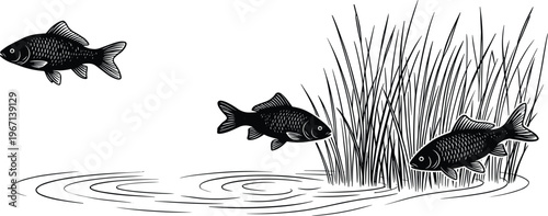 Fish and reeds illustration aquatic wildlife river scene black vector nature water habitat fishing design collection isolated graphic