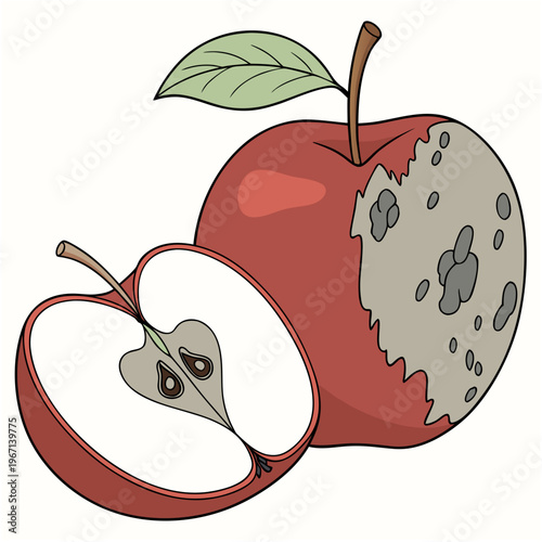 Realistic Rotting Red Apple with Mold Patch Vector Illustration