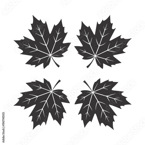 A simple Maple leaf icon, leaf set , autumn leaves, silhouette vector illustration.	