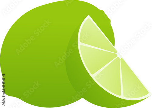 Vector Illustration of Green Citrus Lime and Slice Isolated