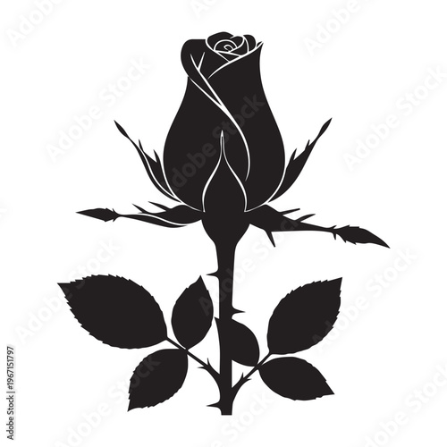 Black Rose Silhouette Isolated on White Background