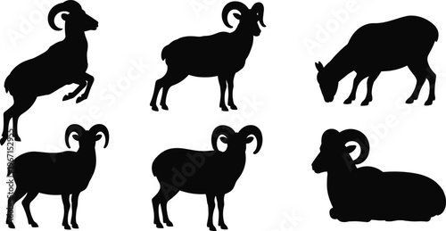 Ram and sheep silhouettes collection with various poses, farm and wildlife animals set featuring standing, grazing, and resting figures for design and illustration