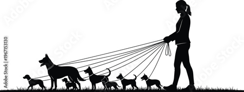 Professional Female Dog Walker Silhouette Vector Illustration Featuring Large Group Of Diverse Dogs On Leashes Walking Outdoors In Green Park.