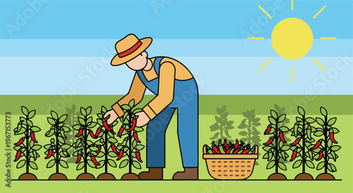 A cartoon farmer in a hat harvesting red chili peppers in a bright sunny field