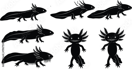 Black Axolotl Silhouette Set Featuring Mexican Salamander Vector Illustrations with Multiple Poses Walking Standing and Swimming Isolated on White Background Asset.