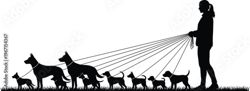 Professional Female Dog Walker Silhouette Vector Illustration Featuring Large Group Of Various Dogs On Leashes Walking Outdoors In Park Grass.