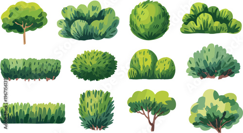 Cartoon green bushes and trees set, decorative foliage plants collection, natural garden landscape elements, isolated vector illustration for landscaping and design use