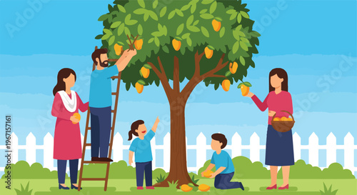 A happy family picking fresh yellow mangoes from a tree in a sunny backyard