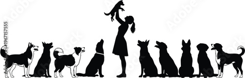 Professional Female Pet Sitter Silhouette Vector Illustration Featuring Large Group Of Diverse Dogs For Animal Care And Pet Sitting Service.