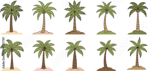 Palm tree icons collection with tropical island plants and coconut trees vector set for summer beach travel nature design illustration
