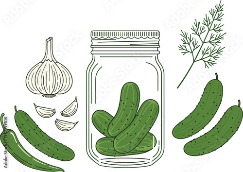 Pickled cucumber ingredients illustration with jar garlic dill and pepper hand drawn vector set for healthy food preservation cooking concept design