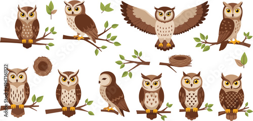Professional Cute Owl Wildlife Vector Set Featuring Cartoon Birds Flying Sitting on Branches and Nests for Nature Designs