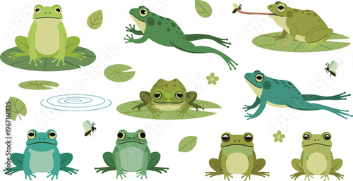 Professional Cute Frog Wildlife Vector Set Featuring Cartoon Amphibians Jumping Sitting on Lily Pads and Catching Flies for Nature Designs