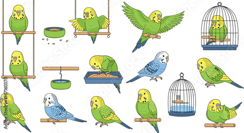 Professional Cute Budgie Vector Set Featuring Cartoon Parakeets Flying Sitting on Swings and in Cages for Pet Designs