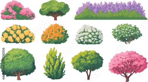 Colorful decorative garden plants set, various bushes trees shrubs collection, floral landscape elements, cartoon style greenery, isolated vector illustration for landscaping design
