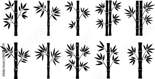 Collection of black bamboo silhouettes, tropical leaf stalk icons, oriental plant vector graphics for zen designs, asian nature illustrations, and spa