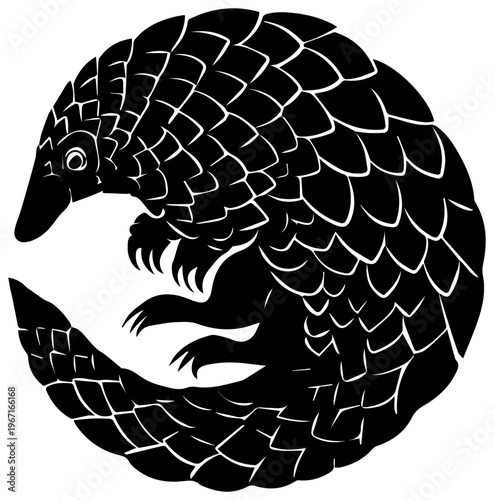 A black and white drawing of a curled up pangolin