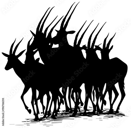 A group of impalas standing together