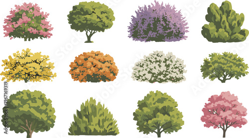 Colorful garden trees and bushes set, decorative plant collection, various shrubs foliage elements, cartoon style landscape greenery, isolated vector illustration for design use