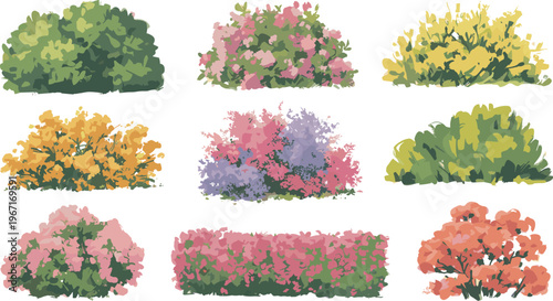Colorful garden bushes set, decorative shrubs and flower beds with vibrant blossoms and green foliage, natural landscape elements, isolated vector illustration for design use