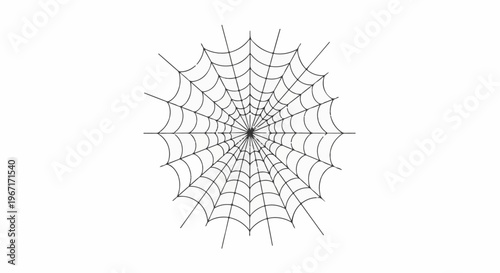 Intricate web pattern with radiating lines and curved segments