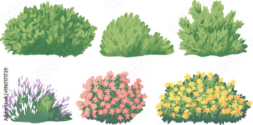 Decorative garden bushes and flowering shrubs set, green foliage and colorful flowers collection, landscape elements, cartoon style, isolated vector illustration for design use