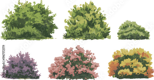 Принти на полотні Green bushes and flowering shrubs collection, decorative garden plants set with