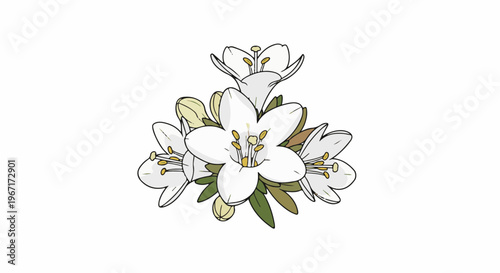 Delicate white wildflowers with yellow stamens, green leaves, and buds