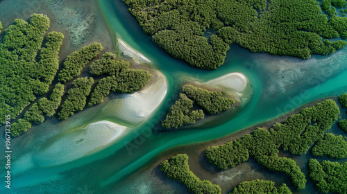 An aerial view of an intricate mangrove forest creating organic fractal patterns of dark green canopy interlaced with tidal waterways of brilliant jade and turquoise